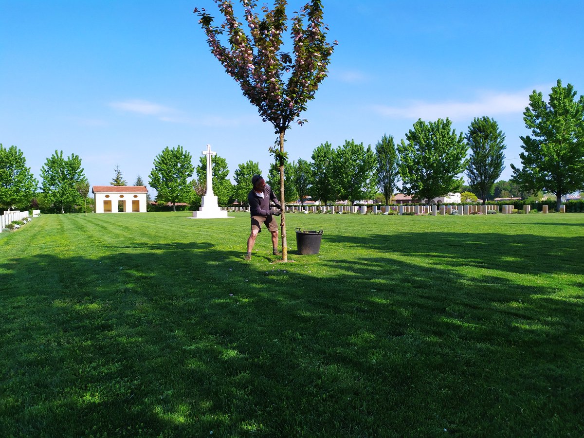 Nord_albert's tweet photo. Gap filling and other works at Padua war cemetery today @CWGC https://t.co/NZ4Aofmaju