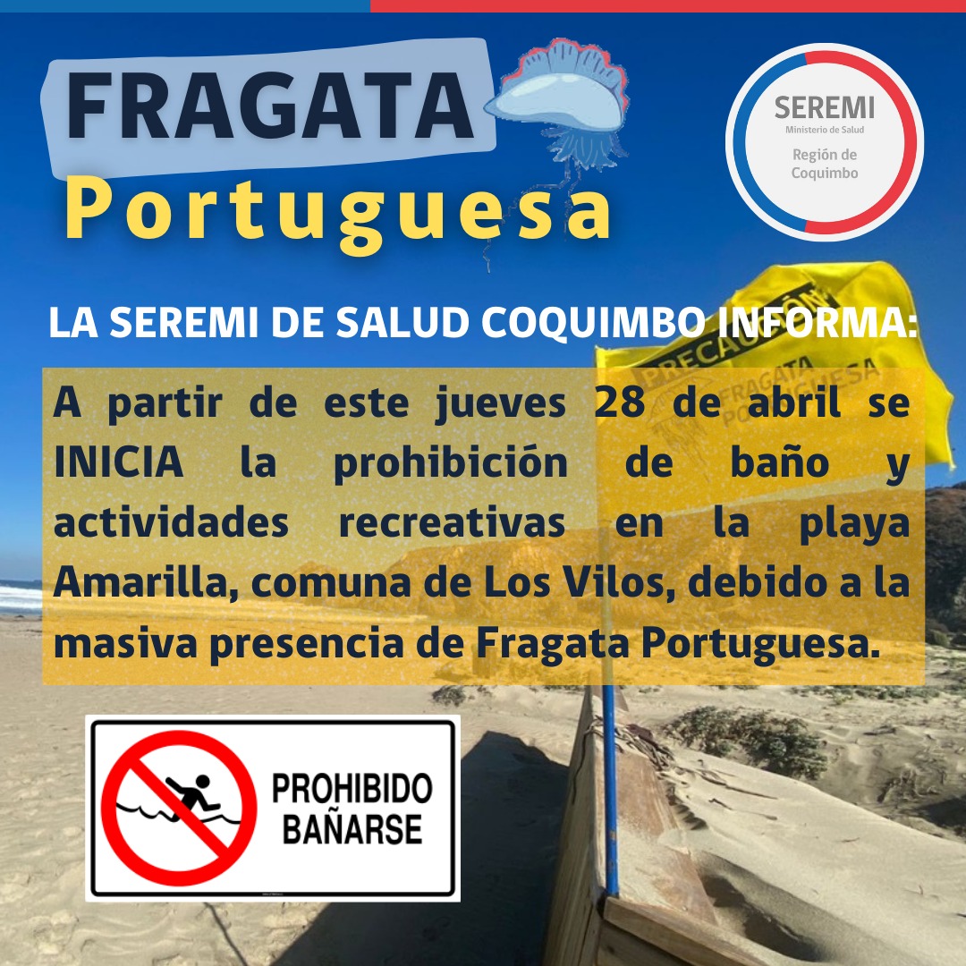 🚫PROHIBICIÓN DE BAÑO🚫

La Autoridad Sanitaria determinó la prohibición de baño y actividades recreativas en la Playa Amarilla de la comuna de #LosVilos por presencia de la #FragataPortuguesa