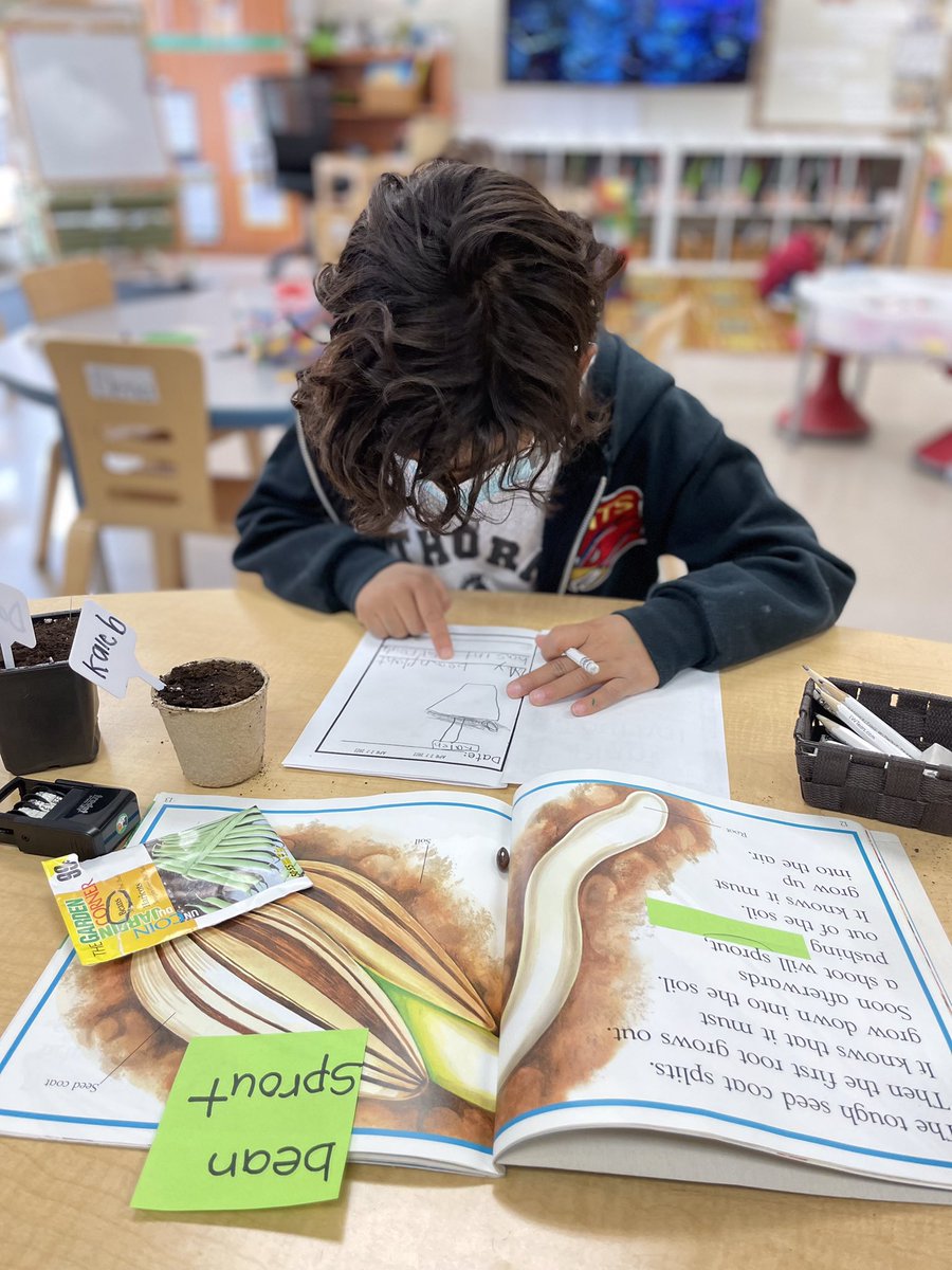 HTS_Kindies's tweet photo. Recording our observations! 🔎📝🌱🪴👩🏼🌾👨🏼🌾 ☀️💧 #springinquiry #plantjournal #dailywriting #BetterTogether❤️ @ConnieRanieri @HTSRichmondHill https://t.co/XW45Ax9ITu