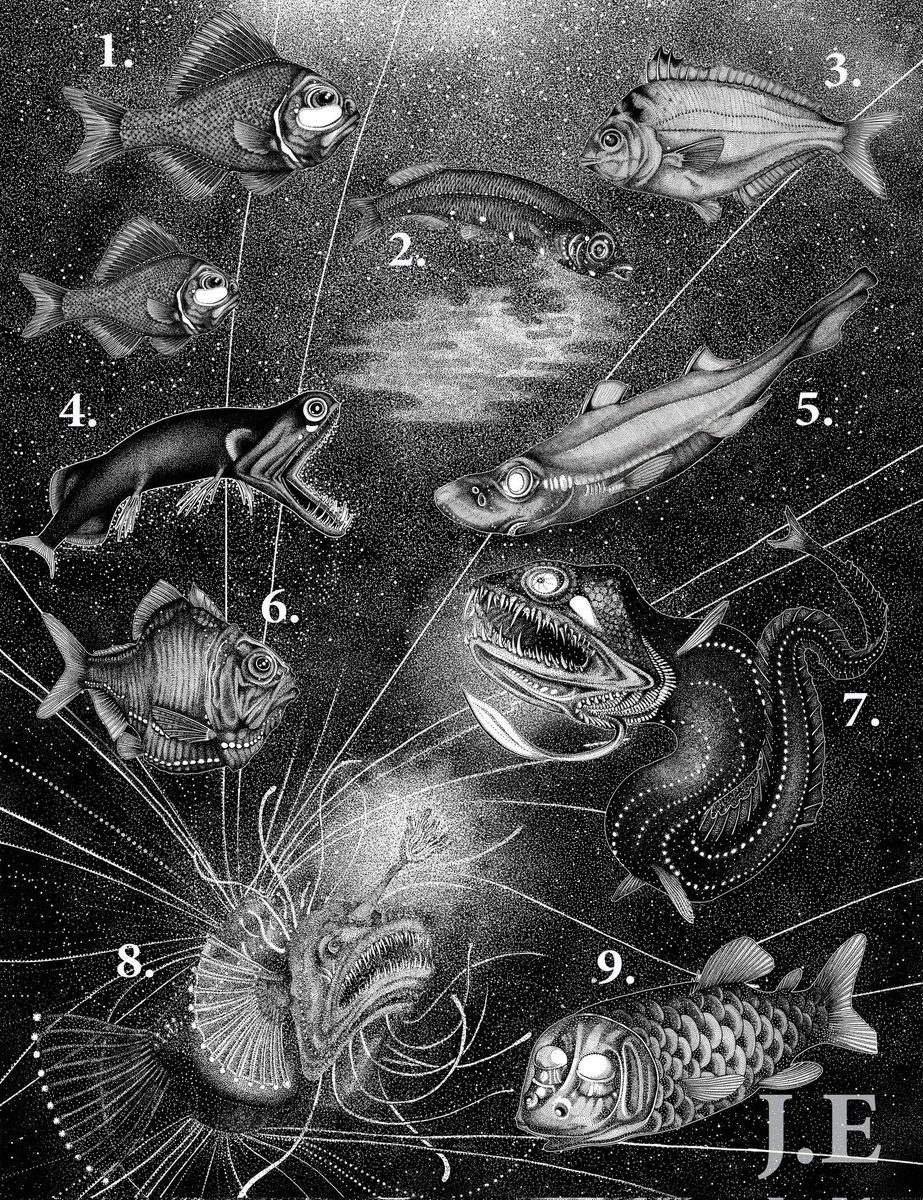 Jessica Eggers tweet media