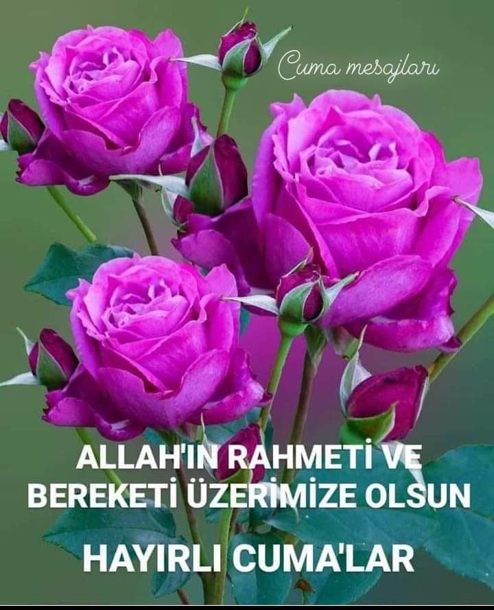 GildirIdiris's tweet photo. https://t.co/L8exqLGwlP