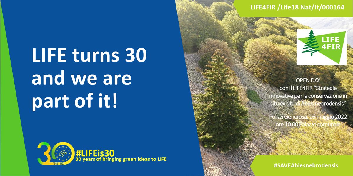 life4fir tweet media