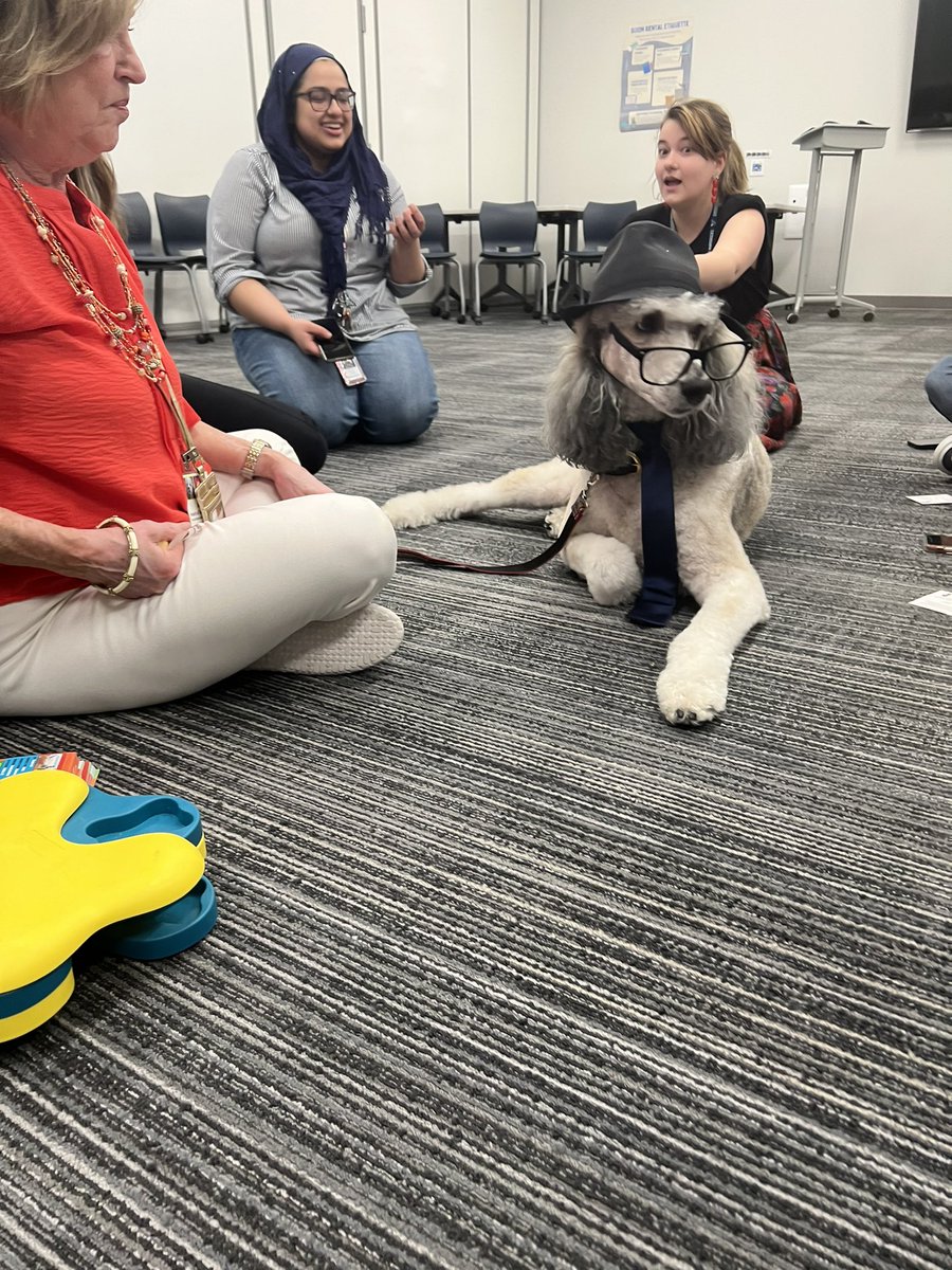 CPlochTeach's tweet photo. Y’all. They brought dogs to @EHSFrisco and it is THE BEST. #dogsofDFW https://t.co/LnEe7o3s1q