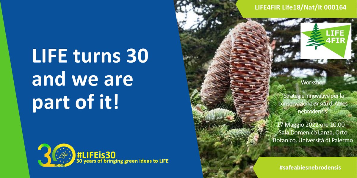 life4fir tweet media