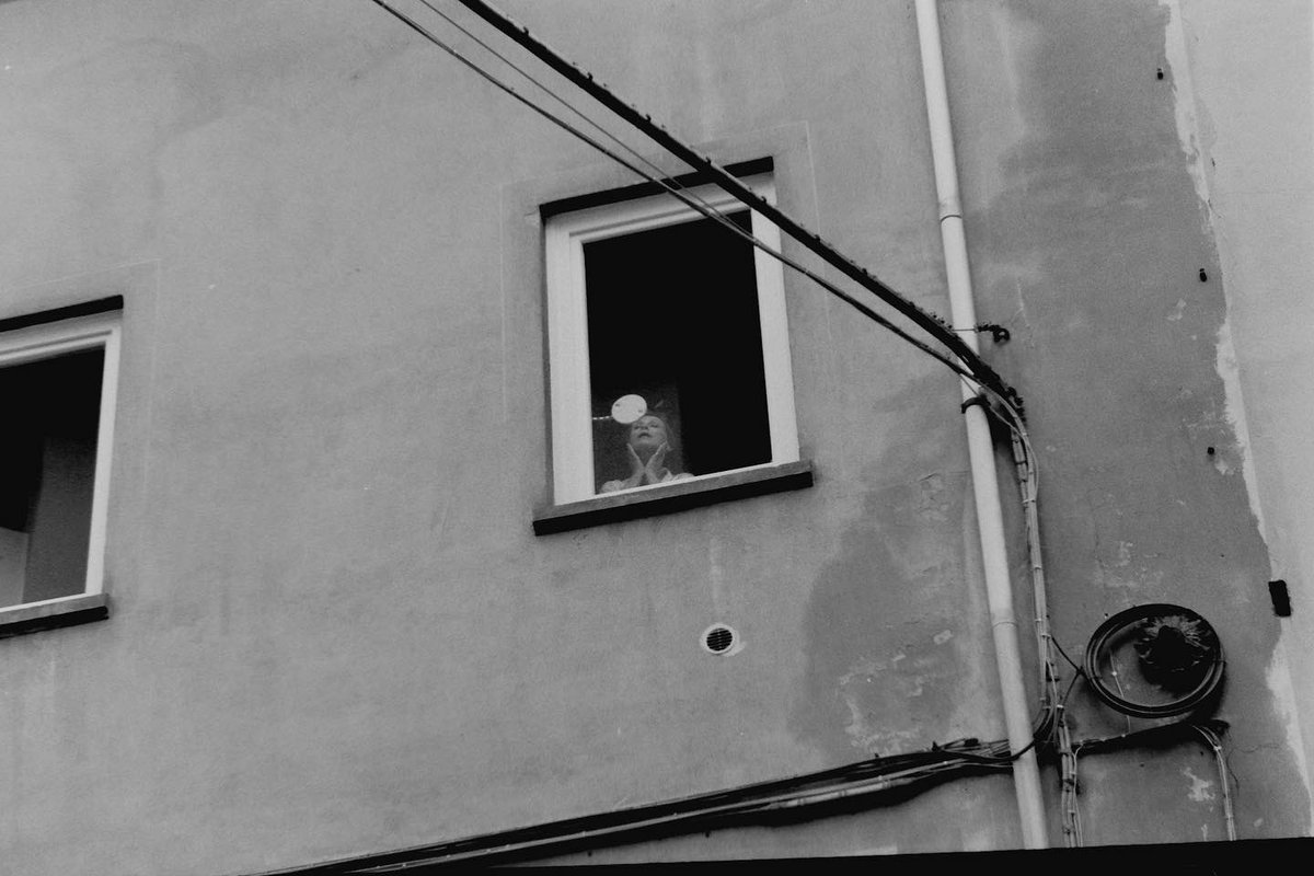 CSUNVOVE's tweet photo. Molly Oran has a new song coming out tomorrow, pre-save THE OWL before it drops !!! link in bio 🦉 

#csunvove #csun #csunmusic #vove #owl #newmusic #recordlabel https://t.co/mFuT2gbKES