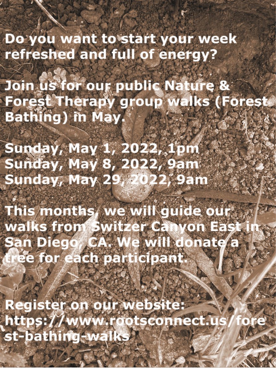 Do you want to start your week refreshed and full of energy? Register for our May forest bathing walks here: bit.ly/36ZAmbk 

Quiet your #mind, connect to #nature, establish #roots. 🌵 #naturetherapy 🍁 #foresttherapy 🌳#forestbathing 🌴 #naturebathing 🌻 #shinrinyoku 🌲