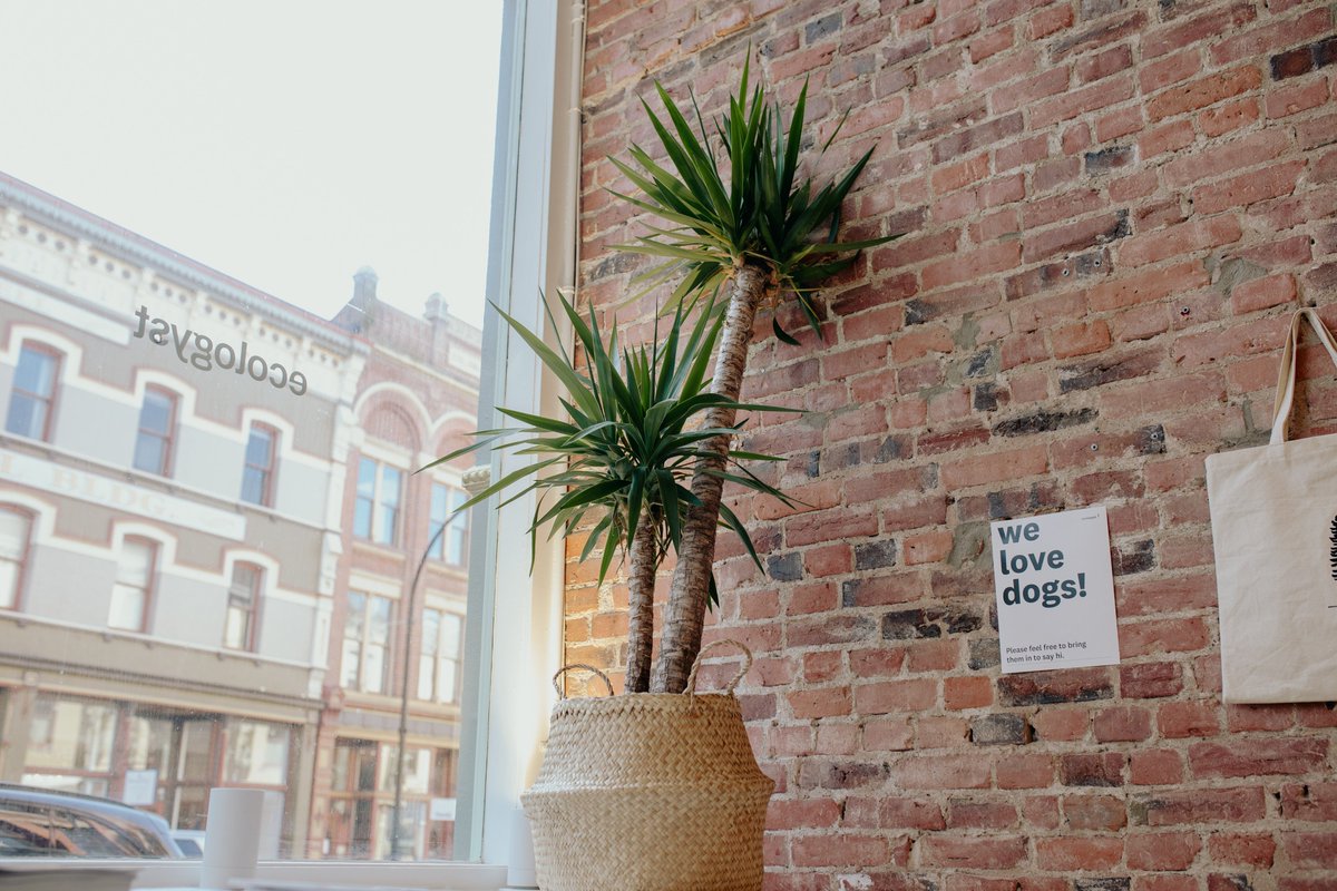 We're pleased to welcome our newest member <a href="/ecologyst_/">ecologyst</a> to the DGV community! This sustainably-focused local business on lower Johnson St. embraces the "own fewer, better quality pieces" ethos, with a sincere love and respect for our natural environment.