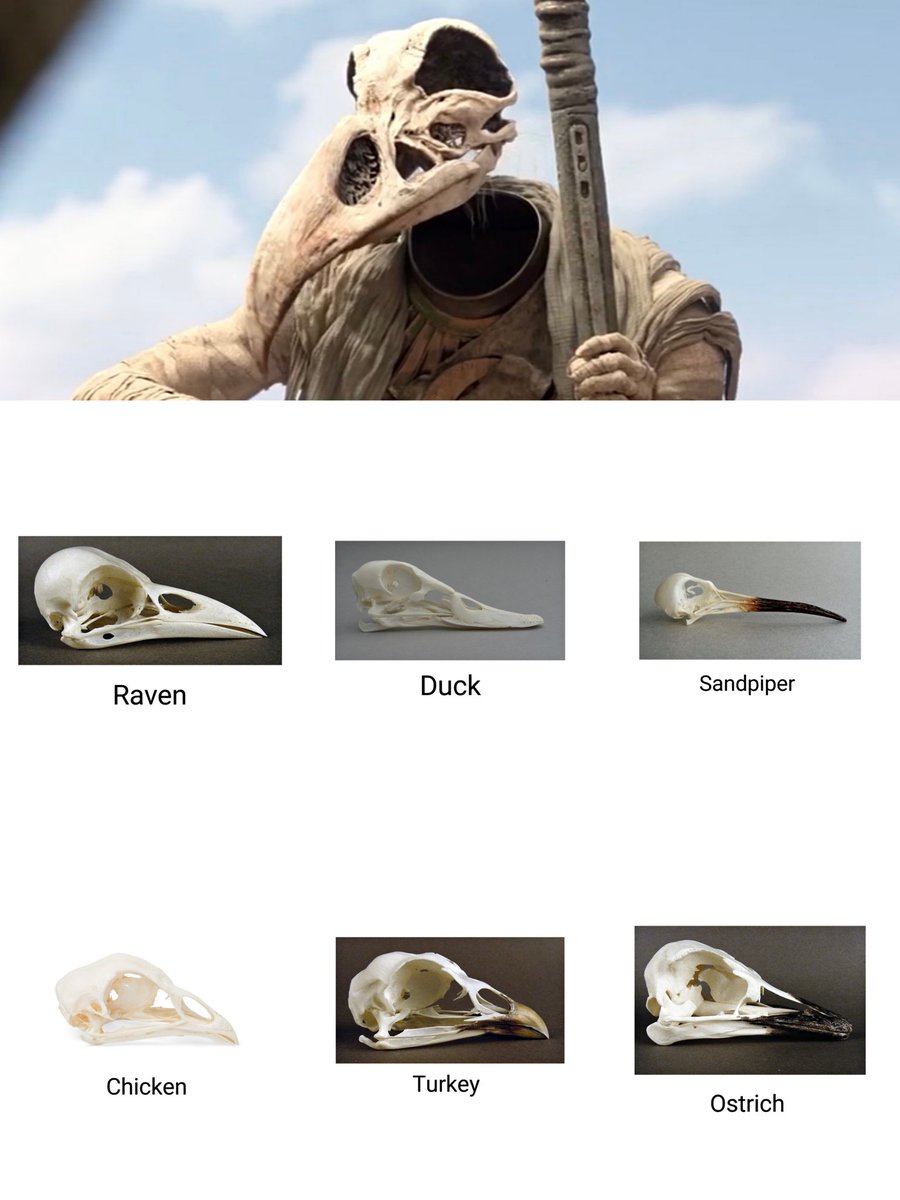 ข้าทำมาให้ลองพิจารณา ว่าเศียรของข้านั้นคือสิ่งใด