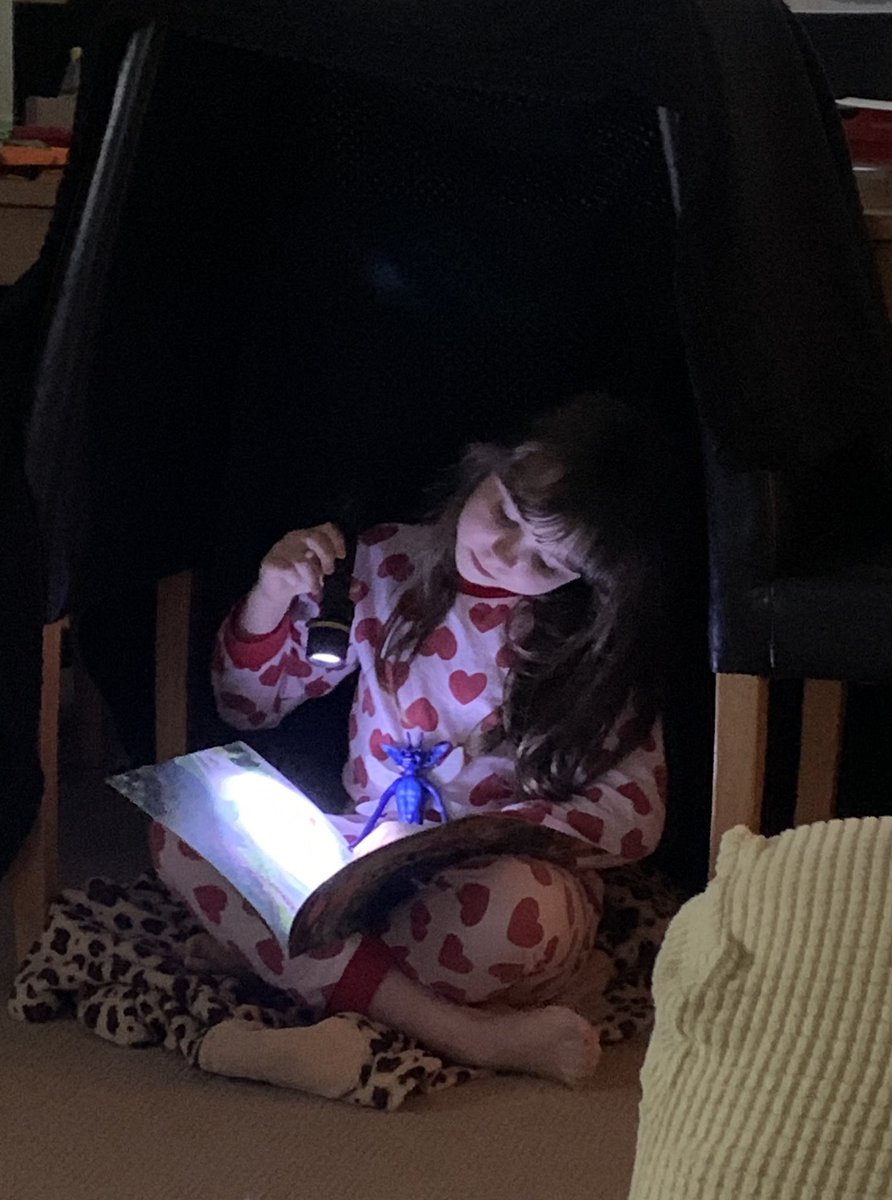 ClareLybo's tweet photo. Book bingo this week - Amelia made a den and read a story to her Cornish pixie @MrsLancsStMarys xx https://t.co/9vl1vJpk3i