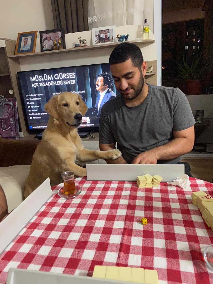 maya the essiz tweet media