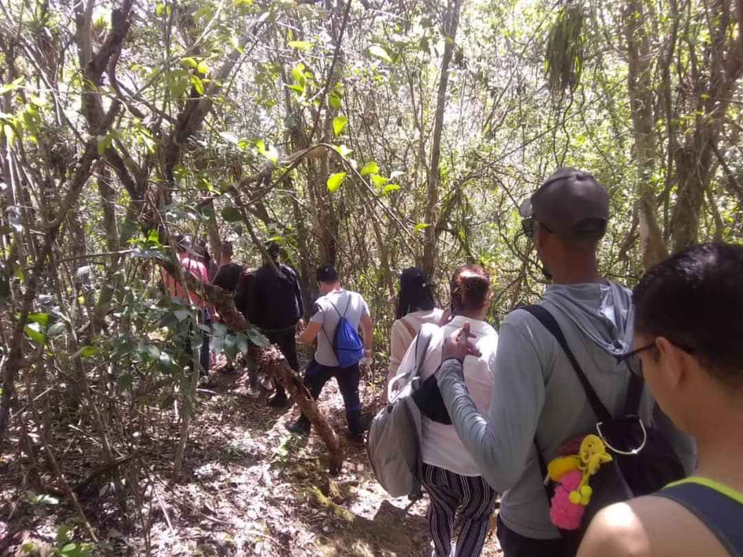 Como parte del encuentro nacional de jóvenes destacados de <a href="/ETECSA_Cuba/">ETECSA</a> y en saludo al #DiaMundialSST, nuestros jóvenes realizaron una caminata de 5 kilómetros en el Parque Natural de Guanayara, en Topes de Collantes. #SeguridadYSaludEnElTrabajo