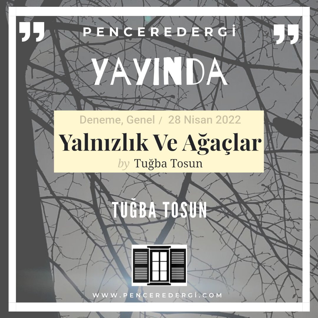 DergiPencere's tweet photo. Ağaç, her ağaç tek bir tohum ile var olur. Bir ormanda beraberce var olan her bir ağaç tek başınadır aslında. Şehirler ortasında tek kişilik hükümdarlığını ilan eden koca bilge ağaçlar pek suskundur. Kalbinden ötesini görür gibi bakarlar insana...
https://t.co/BnFKrQPDdT https://t.co/l2p9S0shoz