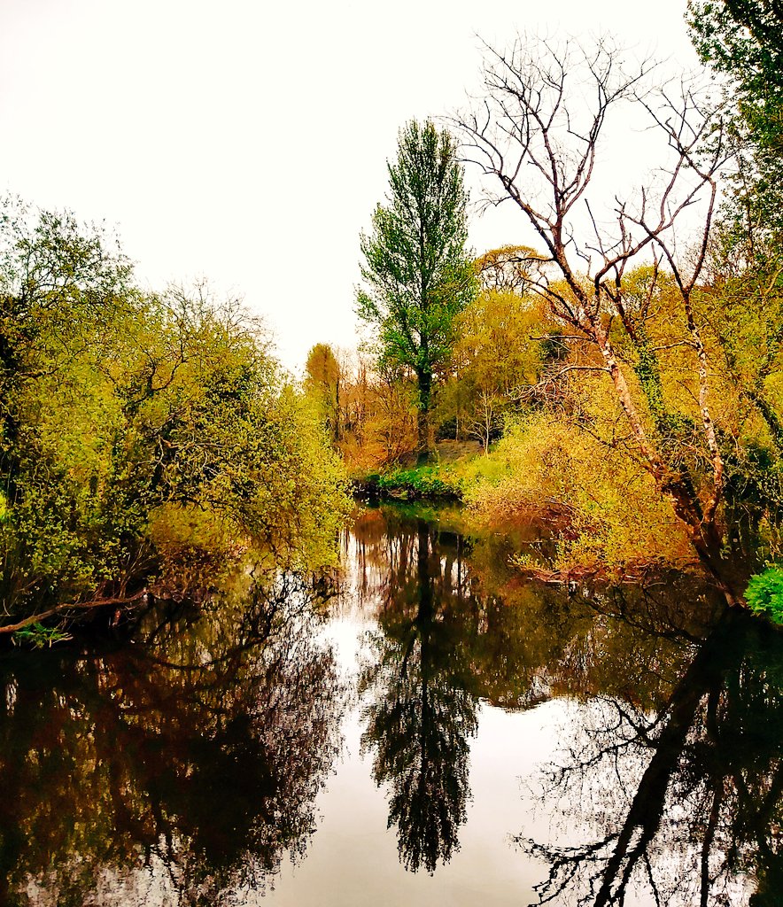 nnylfsemaj's tweet photo. River Sullane from Tom Creedon Bridge in Late Spring Mode.
#riversullane #aibreán2022🌱🌼🌷 #spring2022🌼🌱🌺🌷 #poplar #leevalley #maighchromtha💚🤍 https://t.co/0SwsovJBwV