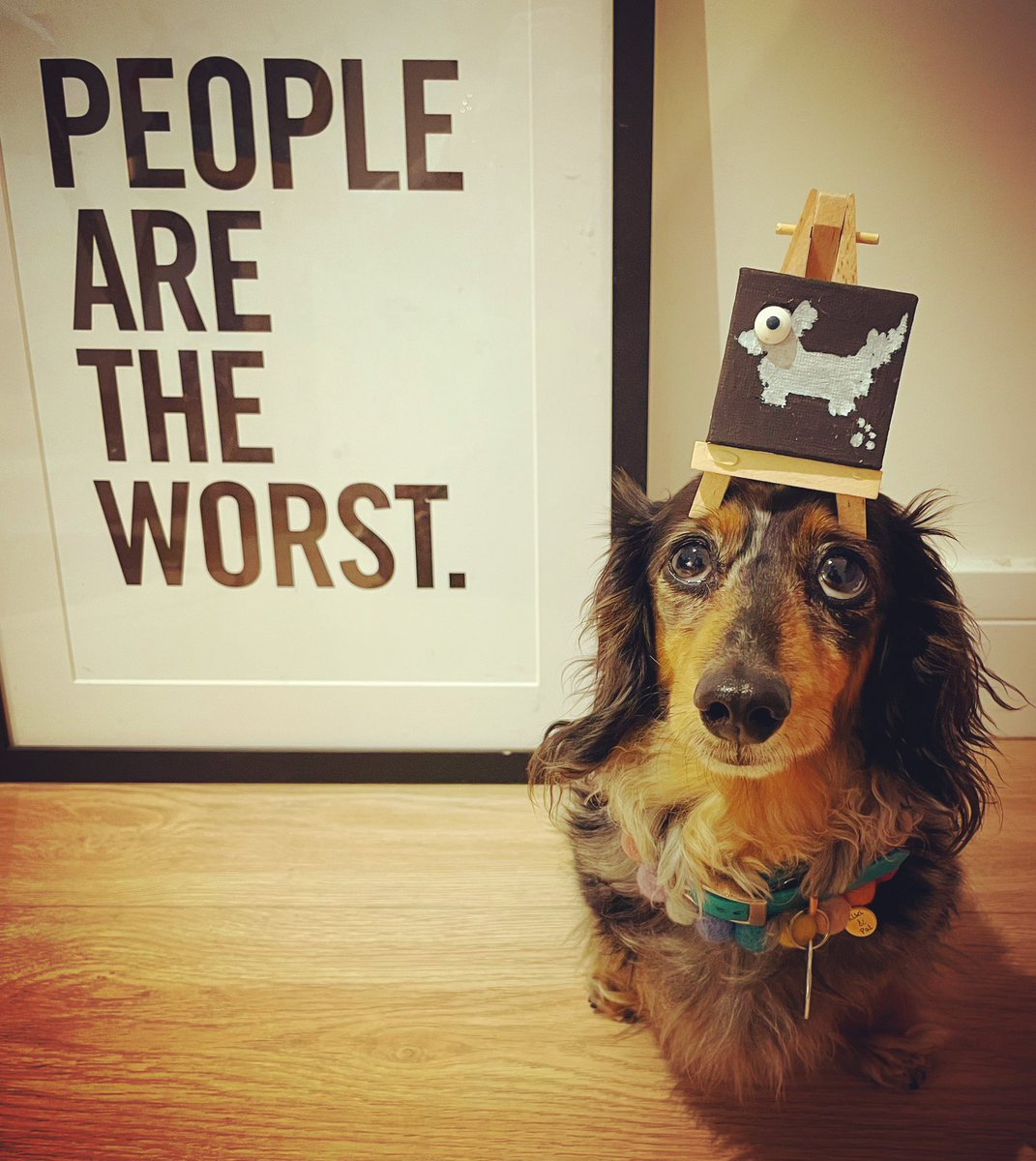 gemmyred's tweet photo. UN. FUCKING. CANNY.*

*POA. DMs open.

#SKILLS #proud #sausageselfieforsale #pawcasso #artistinresidence #creativecanine #peoplearetheworst #justmeandb #balancingb #girlgotskillz #kikiandpalpooch #kikiandpal #doggystyle #sausagestyle #dachshundoftheday #ramsgate https://t.co/jWZLYze2If