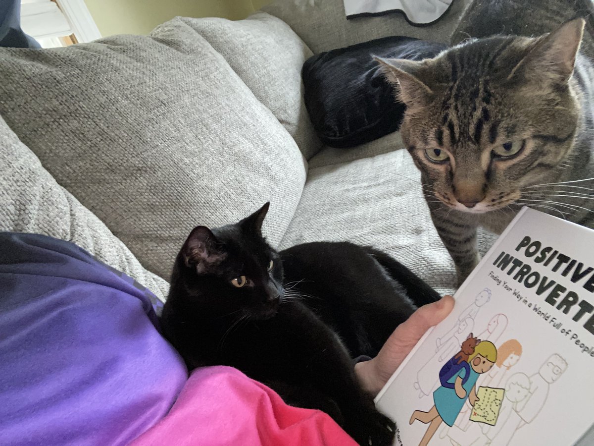 ehsea25's tweet image. How about &quot;none of the above&quot; and go with &quot;curling up on the couch with the cats to read a fabulous book&quot;? 🤔😍