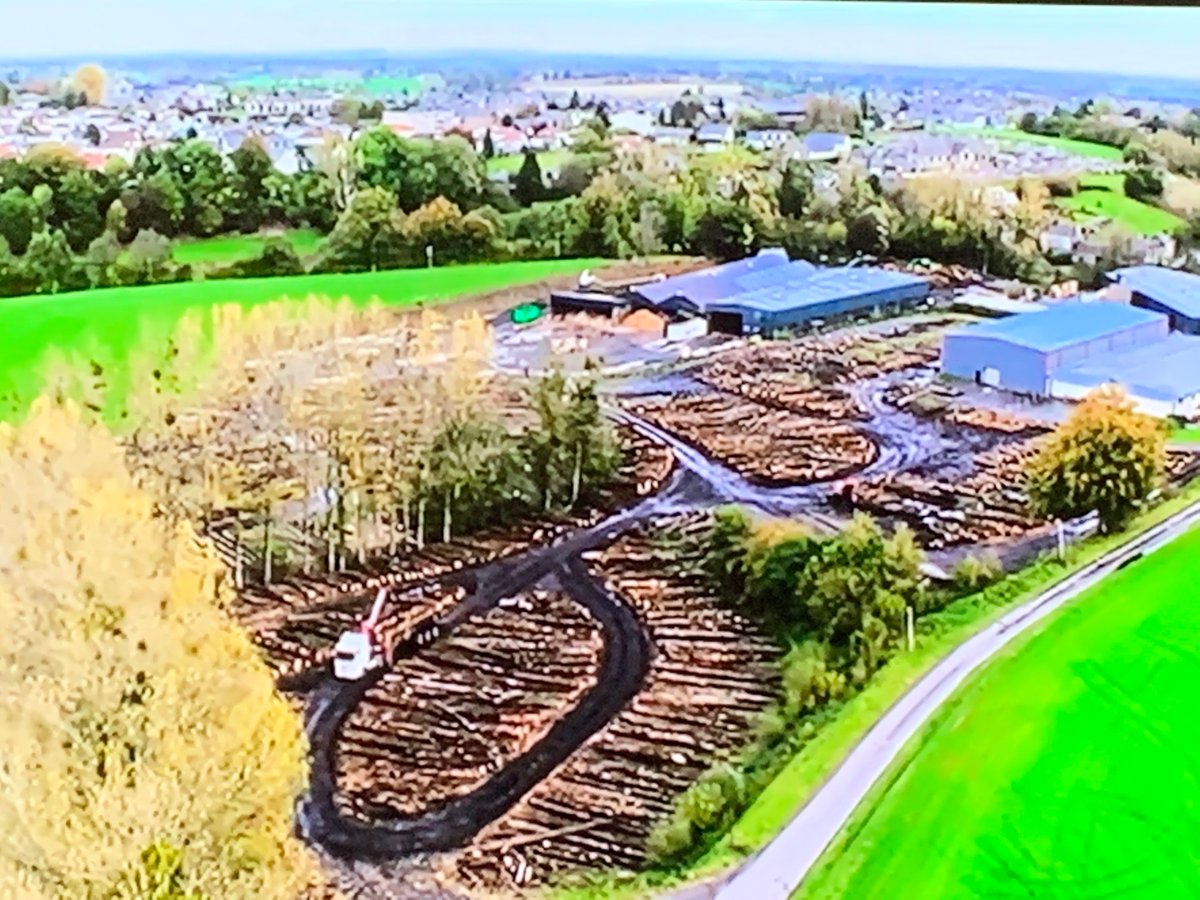 AmandaHepburn3's tweet image. Enjoying watching all these wonderful experts caring for Notre Dame. So heart breaking watching the fire😥
Rebuilding the forest of wooden roof.😮 #RebuildingNotreDame