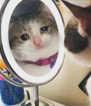 moyyango's tweet photo. @abys_wtchr Omg no how embarrassing 😭 I have been messaging with myself then. Thank you for letting me know though! 💕 https://t.co/UqMXd8dPY0