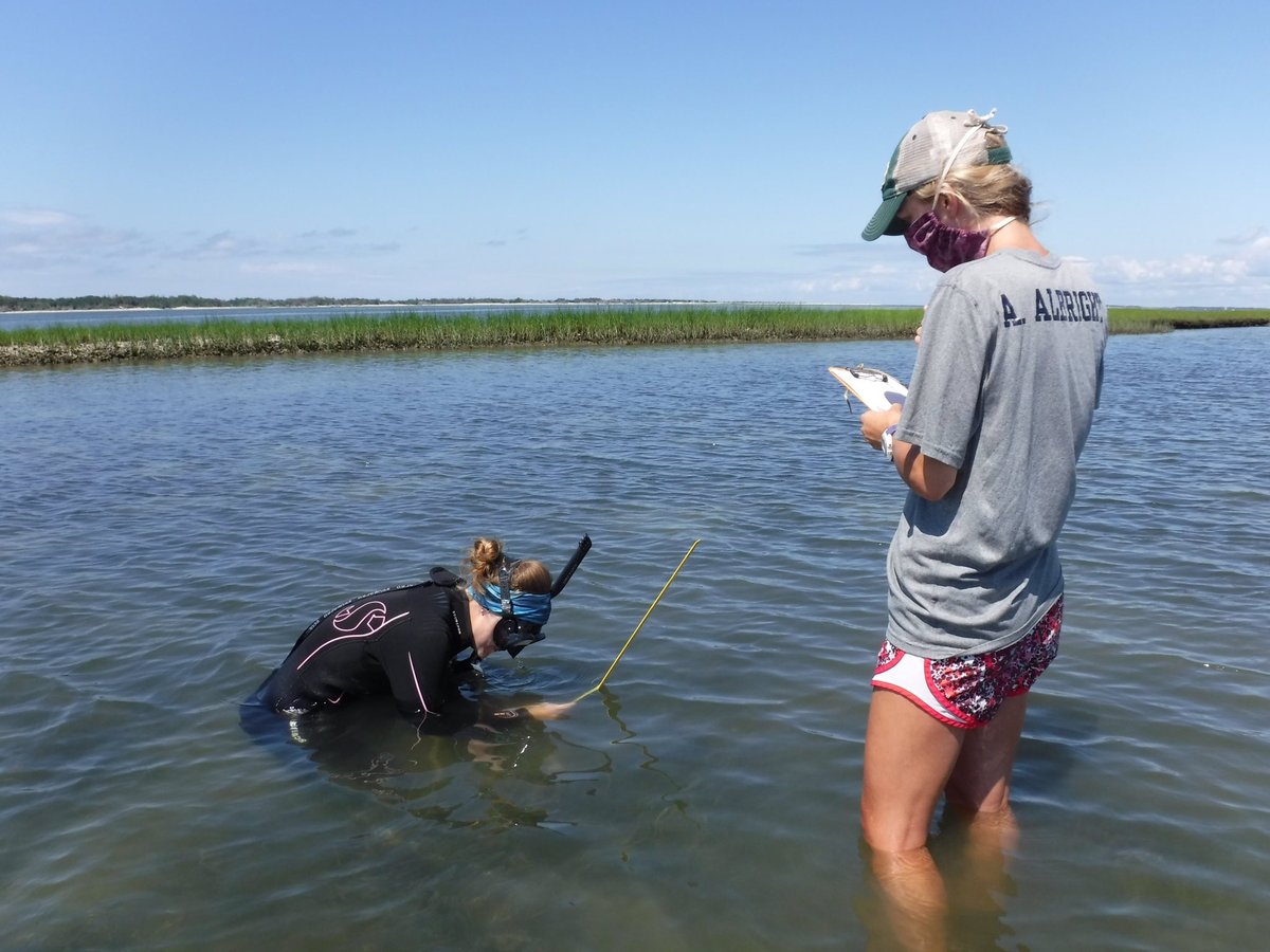 Job posting!

The Gittman Coastal Ecology Lab at ECU is looking for a paid field/lab technician based in the Morehead City area to help with ecological field and mesocosm experiments. Happy to answer any questions!

Deadline to apply is May 4.

ecu.peopleadmin.com/postings/50827