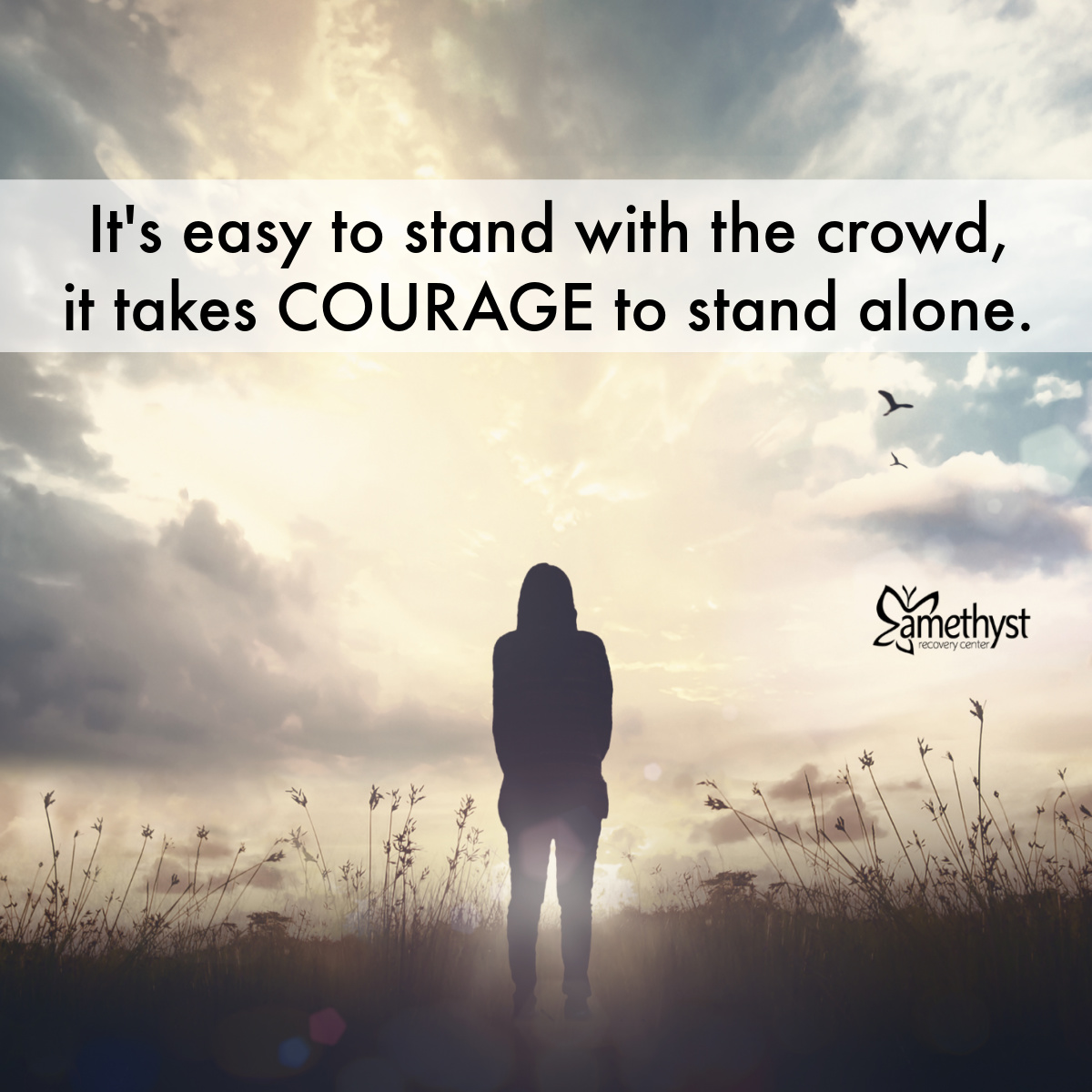 Amethyst Recovery tweet media