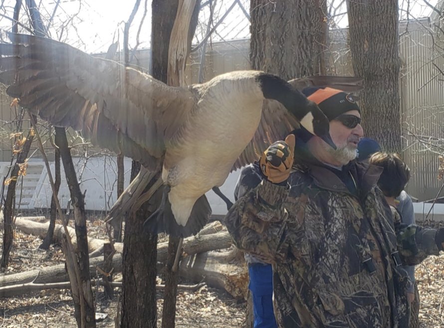 heyerlearning's tweet photo. #WildernessWednesday
Mr. Ron joined us with #ducks, #geese and #cranes. #TeachOutdoors #SoundSpelling #AuthenticLearning #HandsOnLearning #CriticalThinking #BillVSBeak #NewLearning https://t.co/sOj9JRNqKC