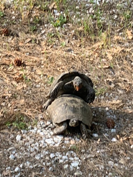 Love is in the air 😜 https://t.co/xBUUJ9KHGF<a href="/tag/haddaway"class="tags"><span>#haddaway</span></a>