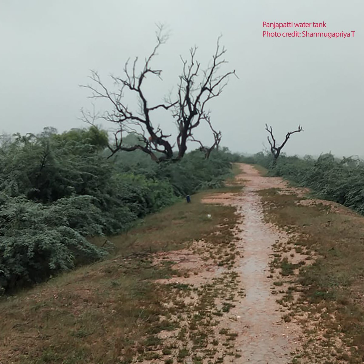 UofTDHN's tweet image. Investigating and disseminating the primary causes of the hydraulic changes and water scarcity in the Coimbatore region, South India (1799-present) through digital creative cartography, digital literature and digital application. #DayofDH2022 #DiversityinDH