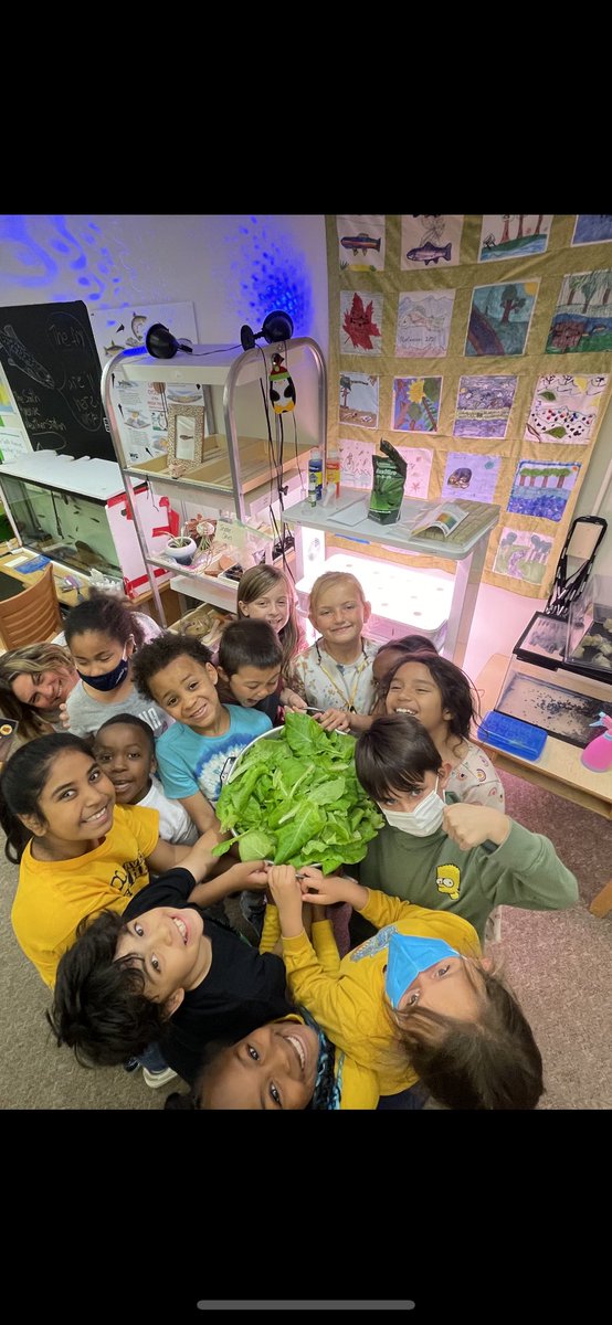 Mr.Burke tweet media