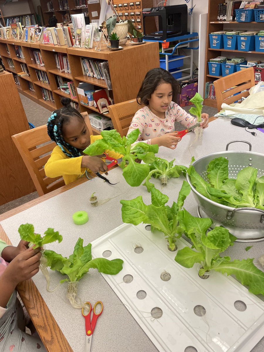 Mr.Burke tweet media