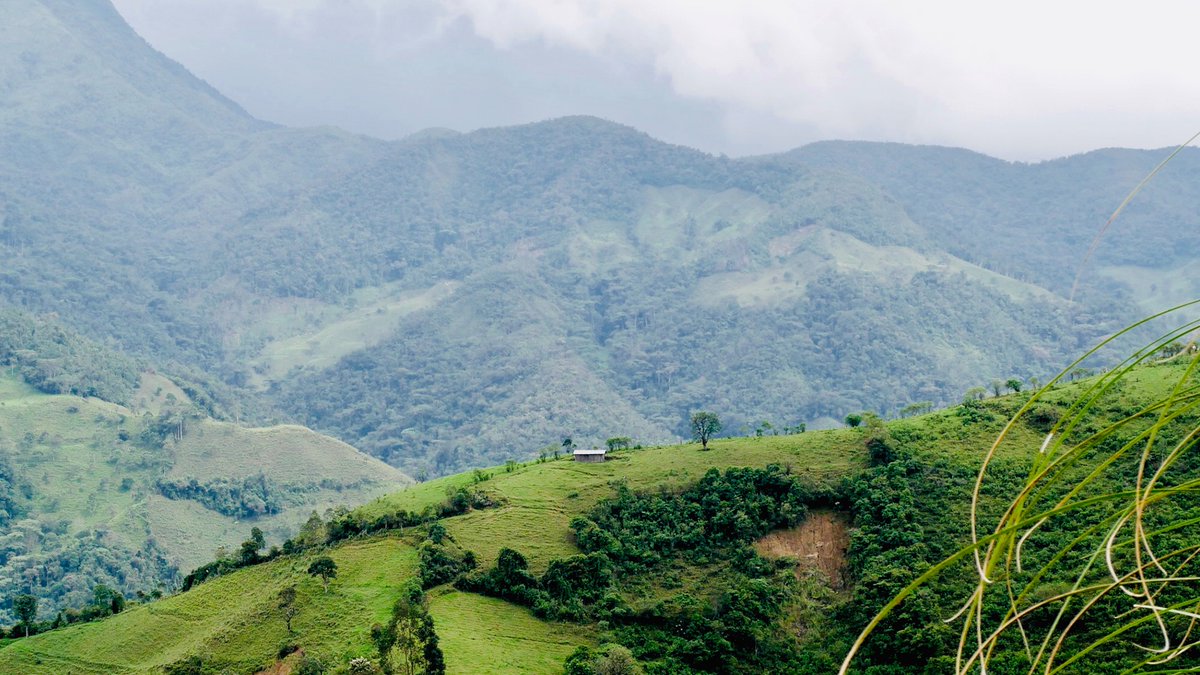 Over the past few years, we've been working to balance a science-based approach to climate solutions with our collective urgency for climate action. We have now set our milestone to be Net Zero Carbon by 2025. 
To learn more, check out our latest blog! carbonclimateandcoffee.com/news