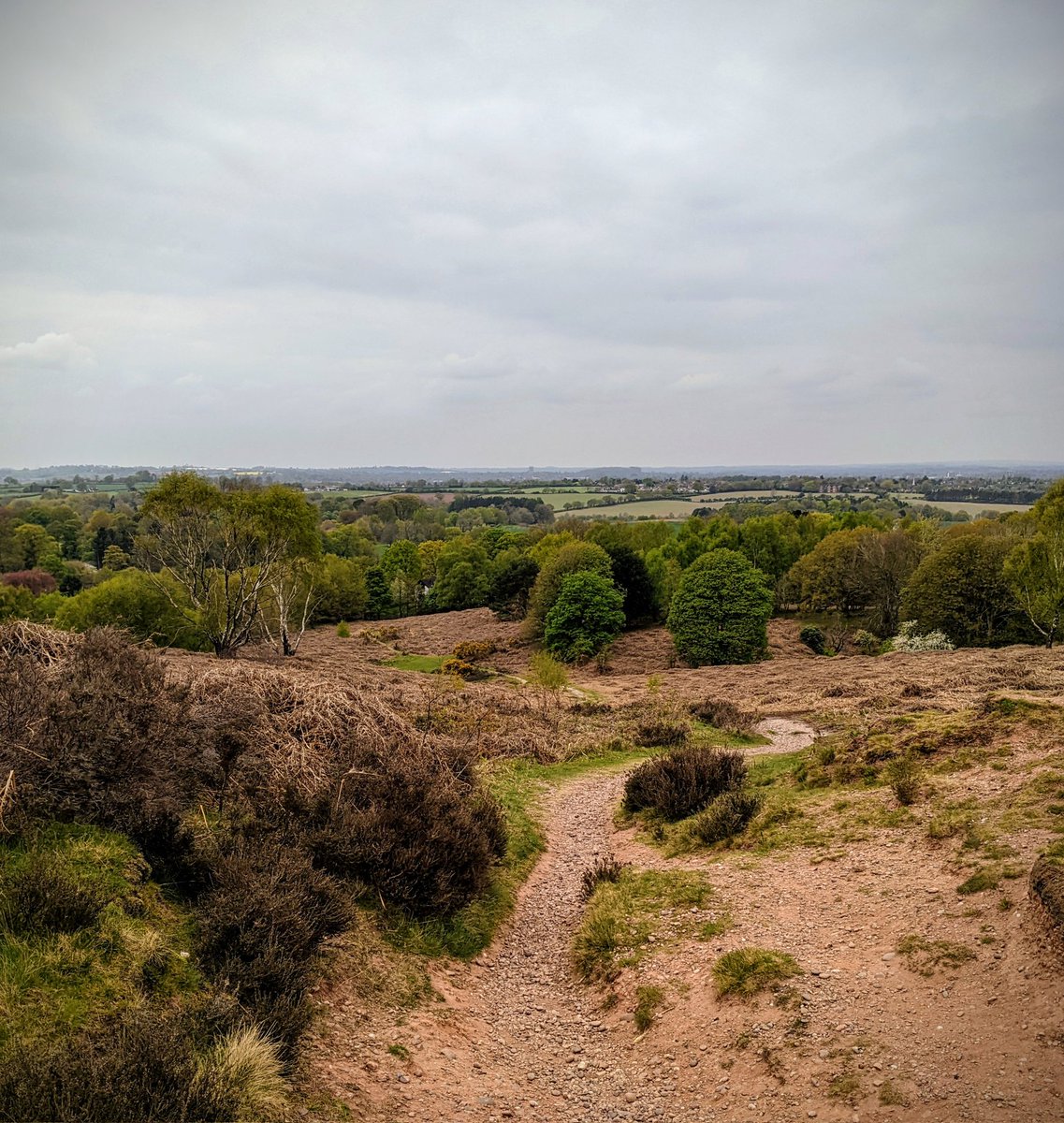 Mathew Mitchell tweet media