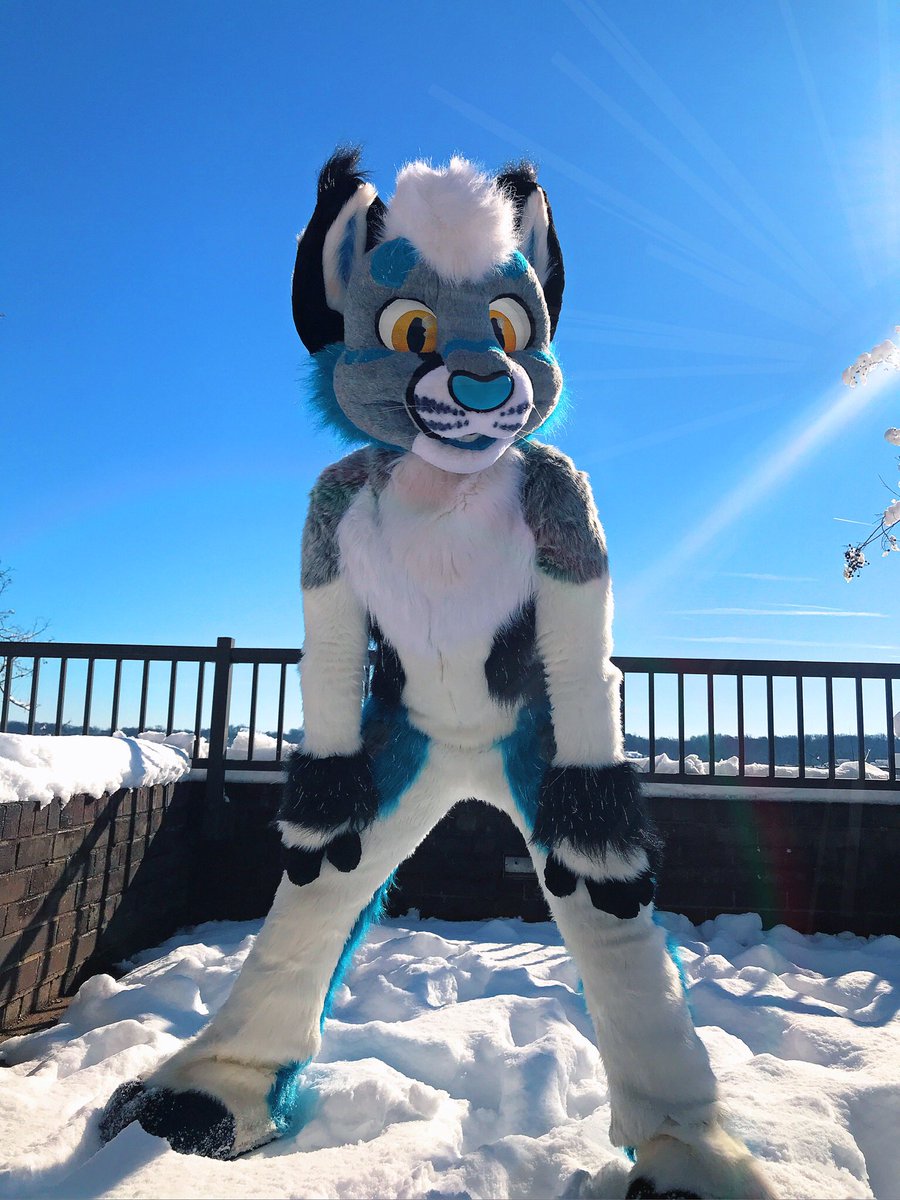 Twilight_Saint's tweet photo. Oh snap, did you forget that you’re awesome?! Well here’s a smile to remind you how epic you are!💙💎💙
#furry #fursuit https://t.co/l3vS4Xt66X