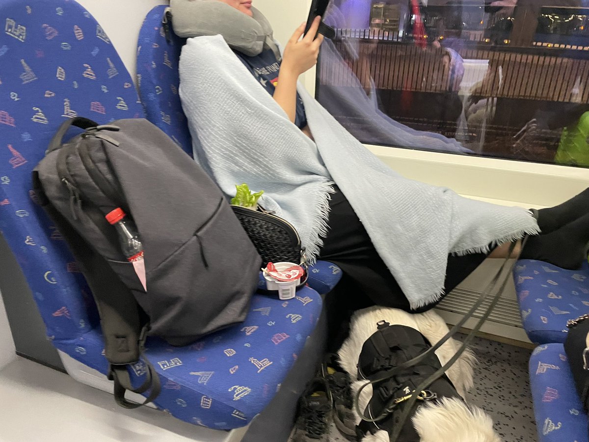 VictorHarju's tweet photo. Det finns en särskild plats i helvetet för människor som tar upp fyra säten ensam när andra måste stå på tåget.

Tittade surt på alla som kom nära. Och vägrade packa ihop sig. https://t.co/6Xx7Ubwebl