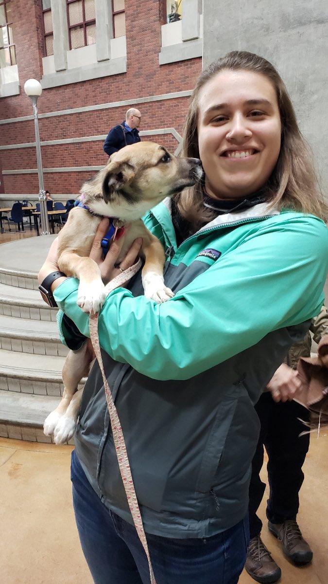 Ashley Mapile (she/her) (@ashleymapile) on Twitter photo When your professor gets a puppy 😍 When your professor gets a puppy 😍