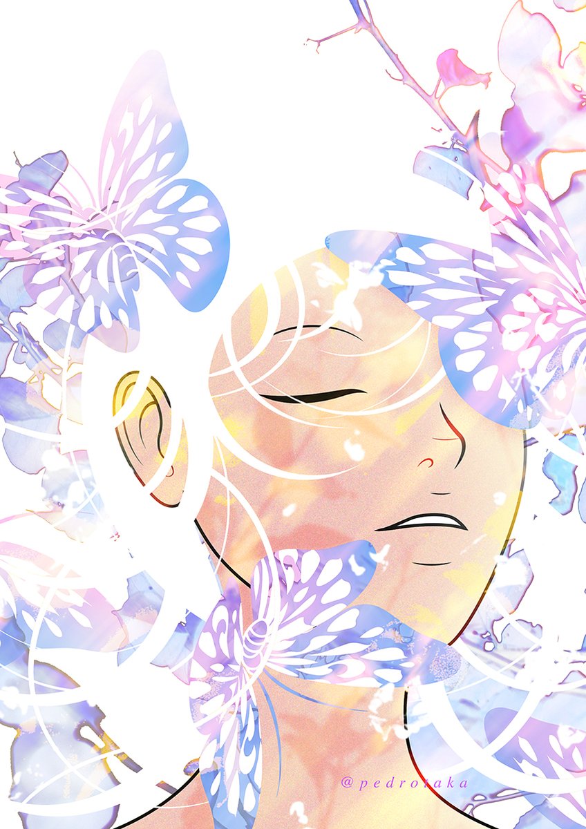 🦋✨🦋