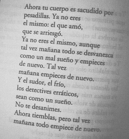 Roberto Bolaño: "Ahora tiemblas, pero tal vez mañana todo empiece de nuevo".