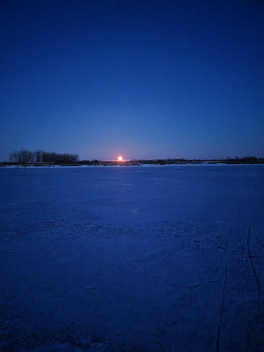 lbennett125's tweet photo. @SjamaanN #hellopatrick I am from South Dakota, USA. Moonrises are my favorite time to be outside. https://t.co/BswuCcpiWO