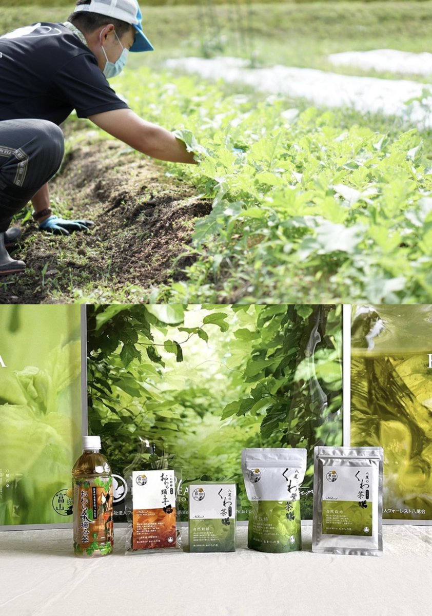 katallertoyama's tweet photo. 『富山JAPAN FOODS PROJECT』商品販売 福祉事業所で作られた作物を加工➡︎ブランド化して販売することで付加価値を上げる❗️農福連携事業を通した地域課題解決に取組みます❗️先ずはスタジアムで商品を販売❗️購入することで福祉事業所の皆さんの支援ができます🙌 #カターレ富山 #ko #sp #onetoyama https://t.co/i8P8uxjScc