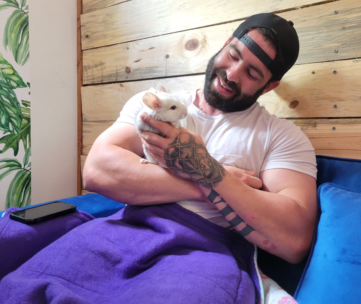 Jandaexotics's tweet photo. Chinchilla in the Cuddle Cabin! Come visit us 😍 https://t.co/QUgfIcezws
