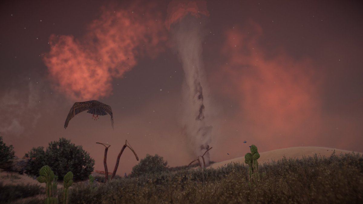 Maffy Fish tweet media