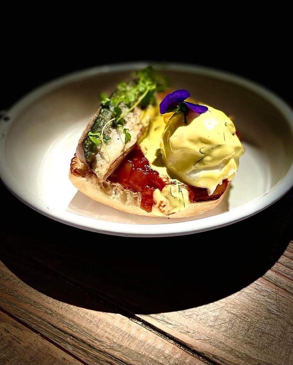 Northern Sole tweet media