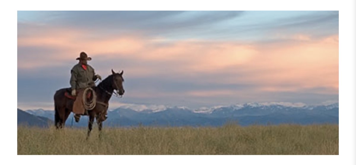 If you’re attending <a href="/NEDreamin/">Northeast Dreamin'</a> or <a href="/Texas_Dreamin/">Texas Dreamin'</a> and haven’t visited with Mogli yet, be sure to stop by our booth tomorrow and experience #MogliSMS for yourself while offsetting your event travel carbon footprint.