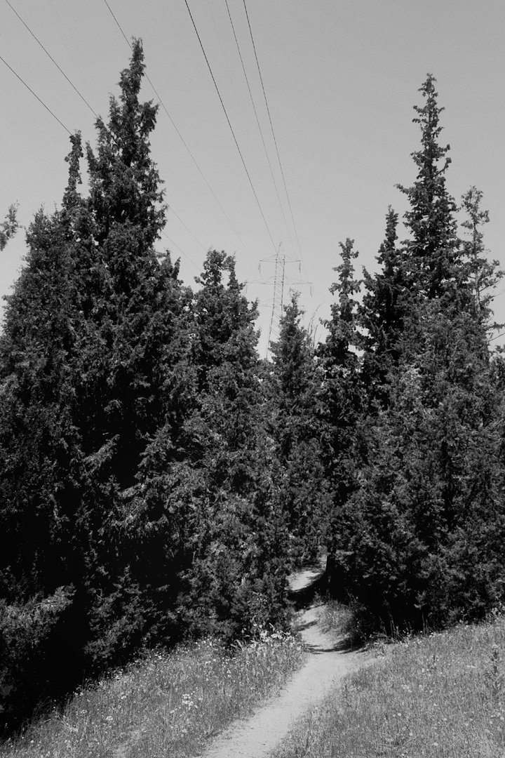 StelThIak's tweet photo. [2/2]
•
#περιαστικόδάσος #Θεσσαλονίκη
#suburbanforest #Thessaloniki
#landscape #suburbannature
#chemicalphotography
also known as #analogphotography
#monochromaticphotography
#blackandwhitephotography
#agfa retro80s #rodinal #R09
#efke ir820aura #dk50
#35mm #slr
📷ΣΔ (2022) https://t.co/1TAz0p1MPN