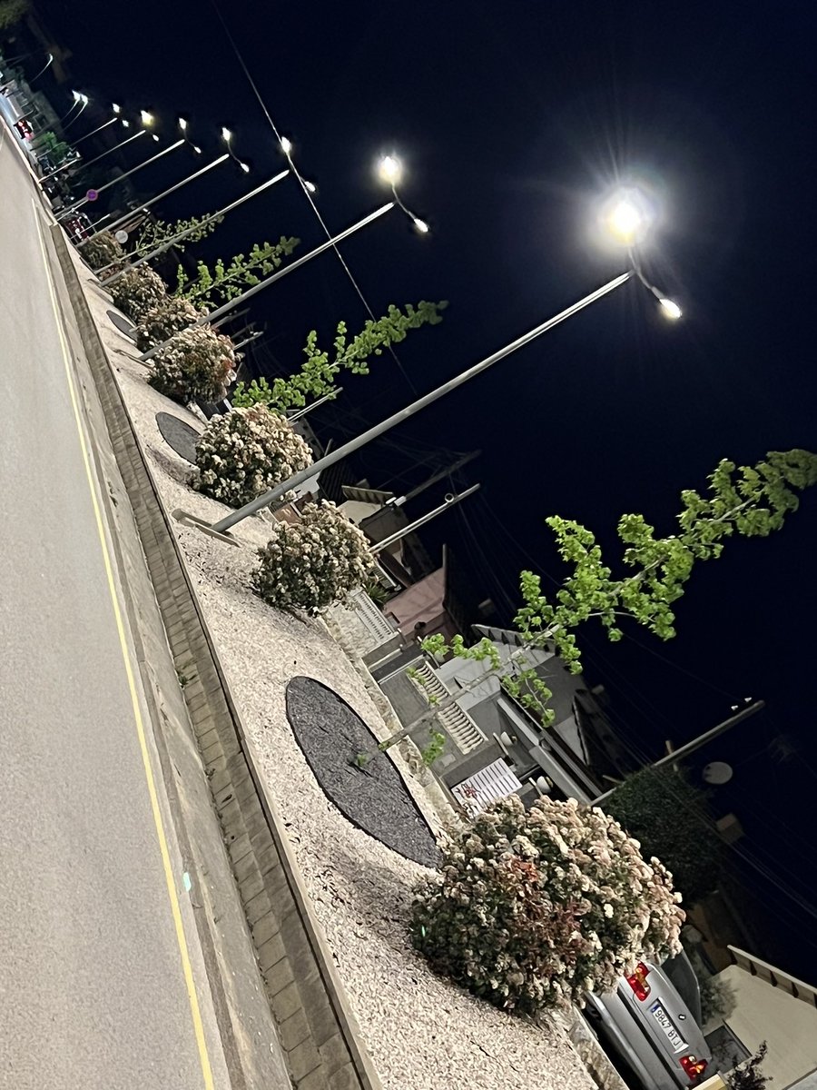 DissenyVerd's tweet photo. Desprès de quatre anys el resultat més que fantàstic del talud amb placa estabilitzadora i grava.
El contrast vegetatiu molt vistós i endreçat. #vidreres
 Solucions per llocs difícils i bons resultats. https://t.co/fEaBqGvXXu