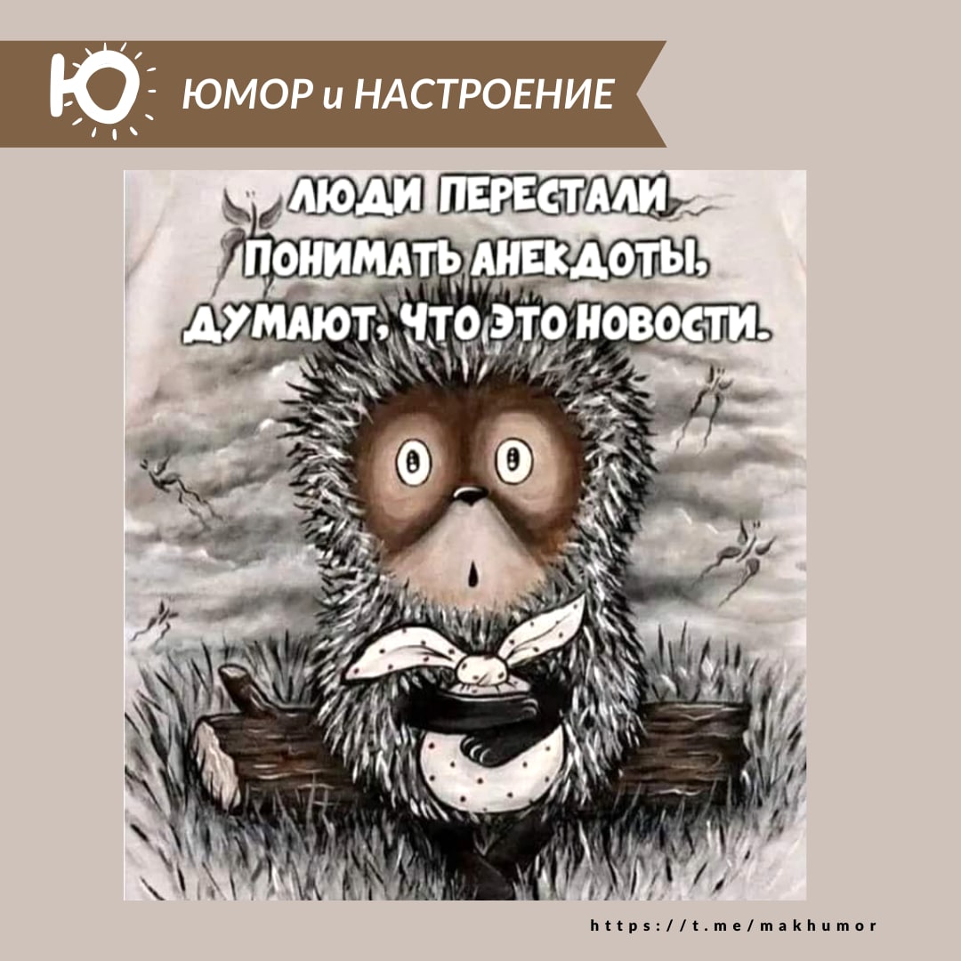 Ирина Шут (@hezabudka) on Twitter photo 