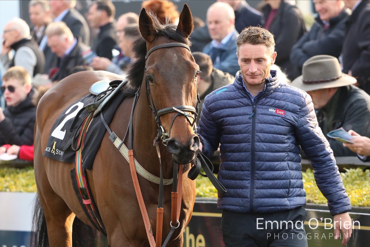EmmaOBrien2204's tweet photo. A great jockey on the track &amp; a good man to lead one up - @Dazjacob10 leading up Carnfunnock at Punchestown for @crawford_bros @simon_munir https://t.co/kGN0l7ZgRT