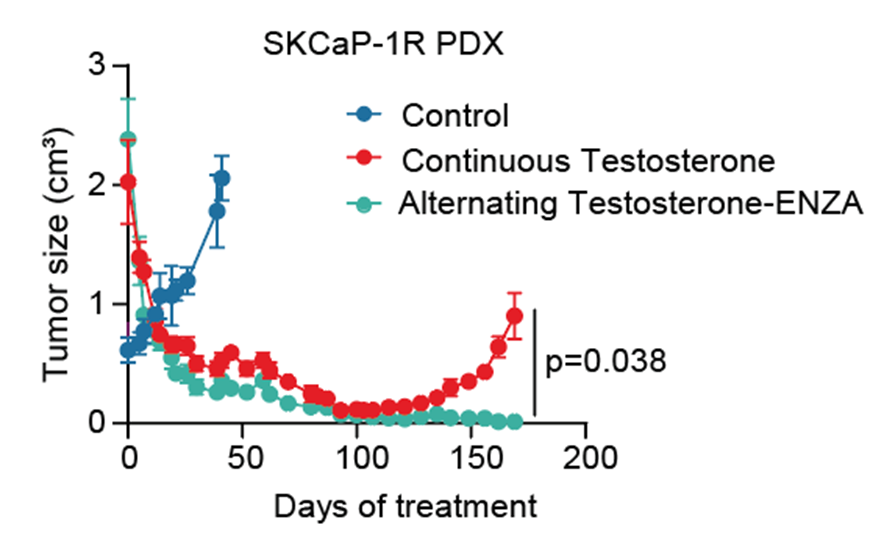 Laura Sena tweet media