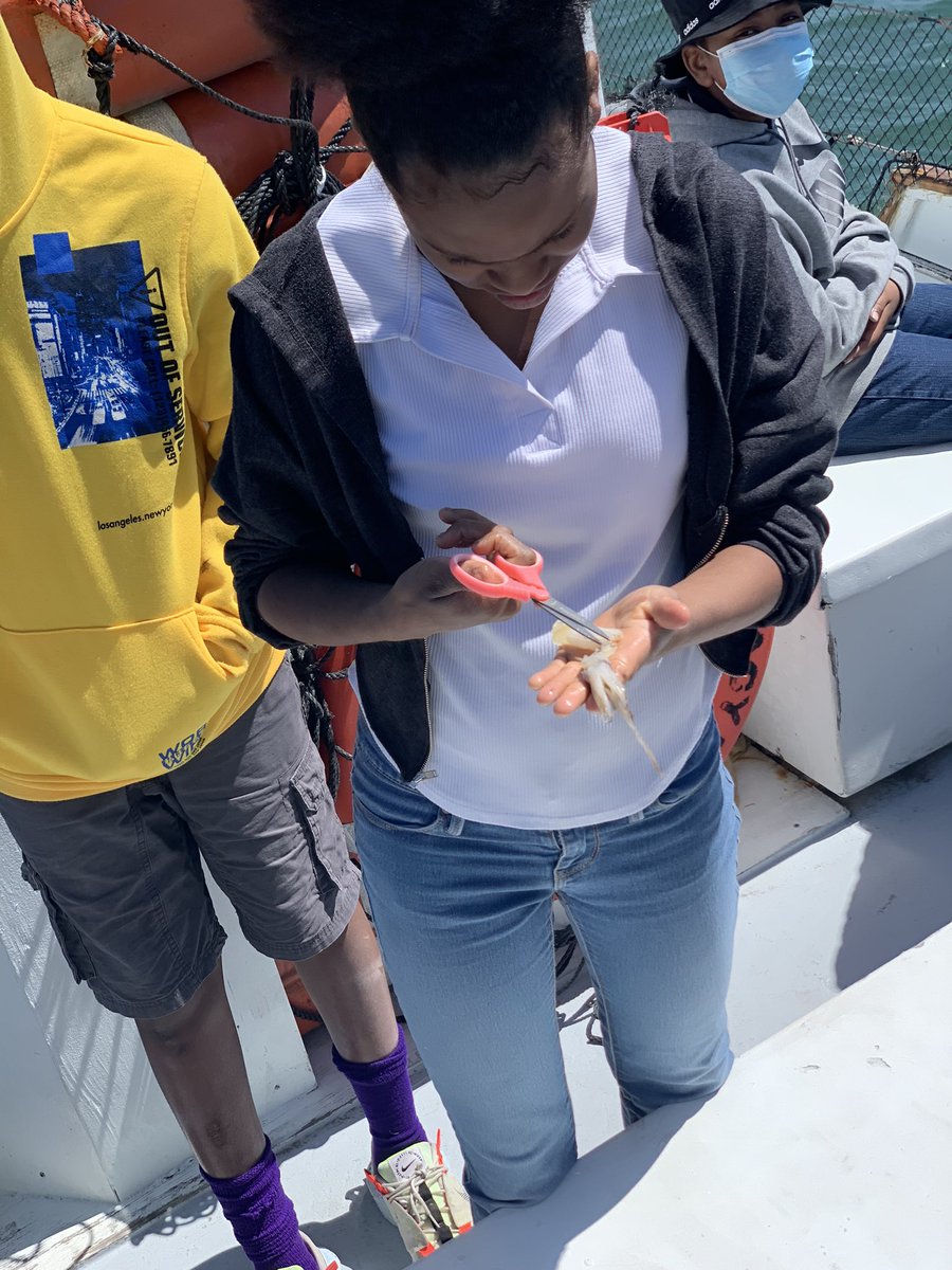 bcolescience's tweet photo. Critters, fish, and squid! Only @EastGarnerMMS do we learn from fun in the sun! https://t.co/oFUy6FJcP0