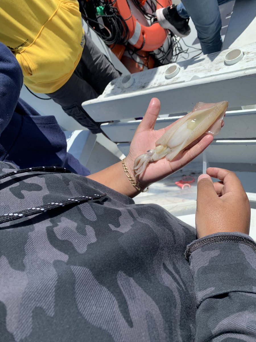 bcolescience's tweet photo. Critters, fish, and squid! Only @EastGarnerMMS do we learn from fun in the sun! https://t.co/oFUy6FJcP0