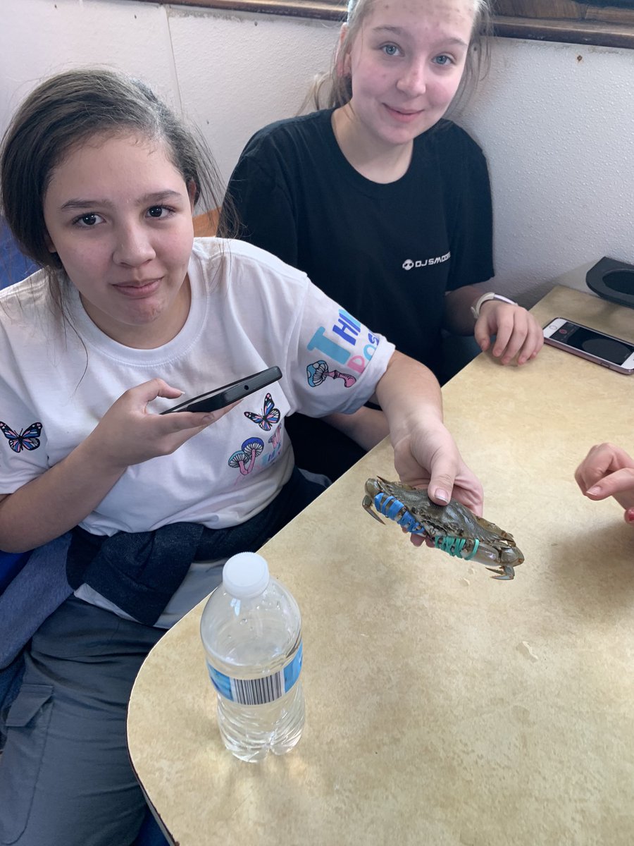bcolescience's tweet photo. Critters, fish, and squid! Only @EastGarnerMMS do we learn from fun in the sun! https://t.co/oFUy6FJcP0