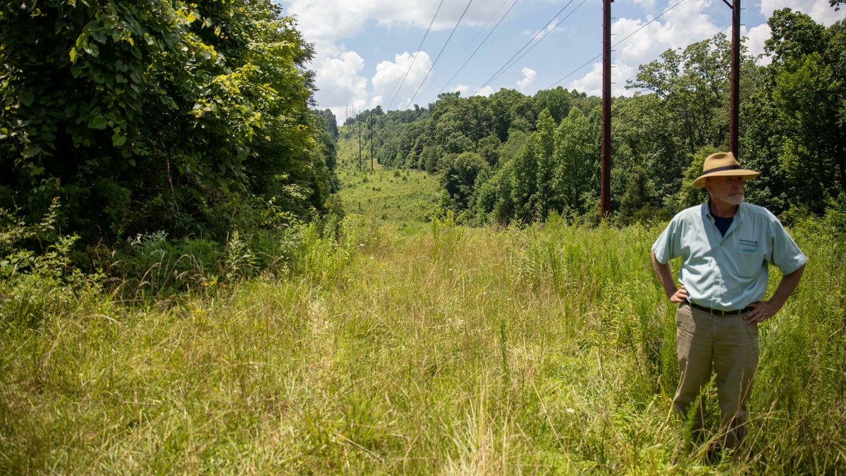 Bernheim always favors periodic review and robust enforcement of environmental regulations. We hope this review will help protect endangered bat species and Bernheim, in Bullitt County, and across the nation. buff.ly/3vJwq6E